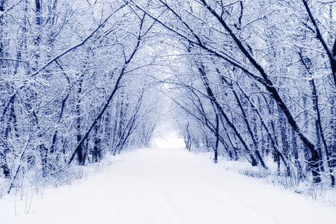 Midwinter Limited Release